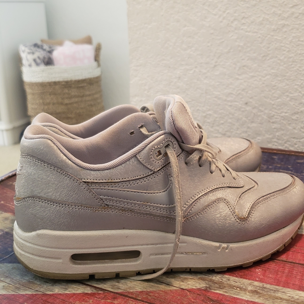Rare Silver Python Nike Air Max